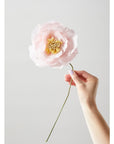 PAPER FLOWER, ICE POPPY, ROSE
