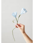 PAPER FLOWER, MORNING GLORY, BLUE